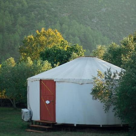 فندق Yol Glamping كاياكوي المظهر الخارجي الصورة